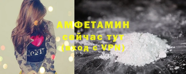 амф Алексин