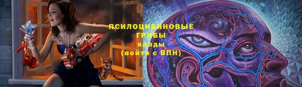 гидра Алексеевка