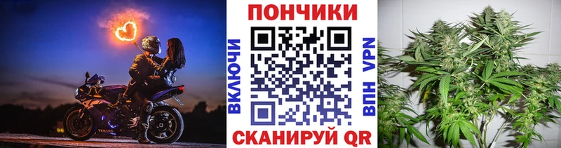 Марихуана конопля  Кинешма 